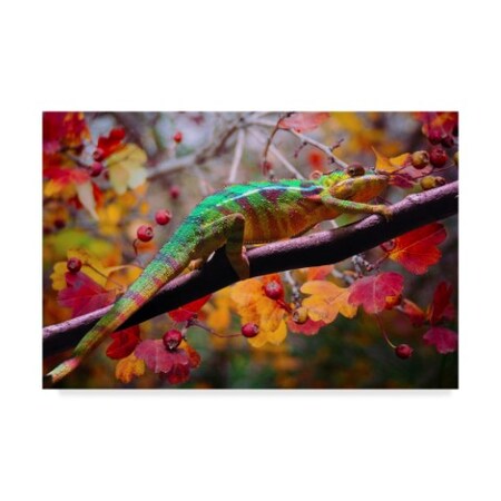 Trademark Fine Art Ata Alishahi 'Chameleons' Canvas Art, 30x47 ALI22468-C3047GG